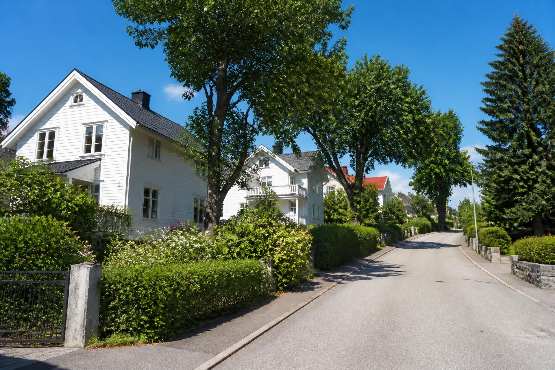 Velstelt østnorsk boligområde med store trær rundt husene